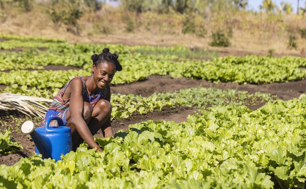 Photo 14 - Bénéficiaires du Projet ProSol