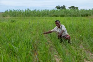 Bénéficiaires du Projet ProSol